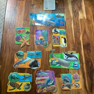 Classroom Living Sea Bulletin Board